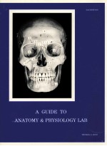 A <em>GUIDE</em> <em>TO</em> ANA<em>TO</em>MY & PHY<em>S</em>IOLOGY LAB
