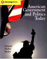 American Government and Politics Today 2004-2005 <em>BRIEF</em> <em>EDITION</em>