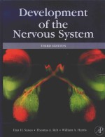 DEVELOPMENT <em>OF</em> THE NERVOUS SYSTEM THIRD <em>EDITION</em>