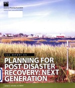 Planning for post-disaster reco<em>v</em>ery next generation