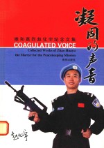 凝固的声音  维和英烈<em>赵化</em>宇纪念文集