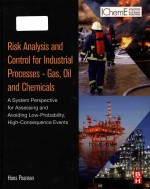 Risk analysis <em>and</em> control <em>for</em> industrial processes - gas