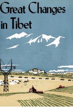 Gneat Changer <em>in</em> Tilet