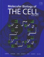 MOLECULAR BIOLOGY <em>OF</em> THE CELL SIXHTH <em>EDITION</em>