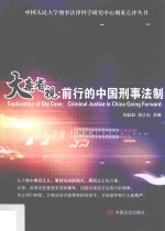 大案省视  前行的中国刑事法制
