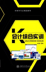 会计综合实训  双色