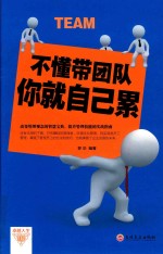 不懂带团队<em>你</em>就自己累   企业管理书籍   成功励志销售技巧书籍