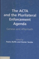 <em>The</em> ACTA and <em>the</em> Plurilateral Enforcement Agenda:Gene<em>s</em>i<em>s</em> and Aftermath