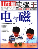 <em>小牛</em><em>顿</em>实验王  电与磁