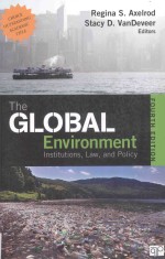 <em>THE</em> GLOBAL ENVIRONMENT:IN<em>S</em>TITUTION<em>S</em>