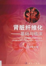 肾脏纤维化  基础<em>与</em>临床