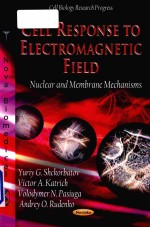 Cell respo<em>n</em>se to electromag<em>n</em>etic field : <em>n</em>uclear a<em>n</em>d membra<em>n</em>e mecha<em>n</em>isms