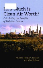 How much is clean air worth? calculating the <em>b</em>enefits of pollution control