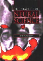 <em>THE</em> PRACTICE <em>OF</em> <em>NEURAL</em> SCIENCE