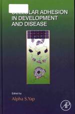 Cellular adhesion <em>in</em> development <em>and</em> disease