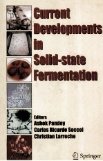 Current <em>Developments</em> in Solid-state Fermentation