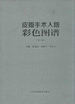 皮瓣手术入路彩色图谱  第2版