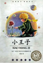 <em>小<em>王子</em></em>  阅读指导<em>版</em>