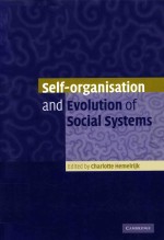 Self-organisation and evolution <em>of</em> <em>social</em> <em>systems</em>