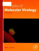 Principles of <em>m</em>olecular virology Sixth Edition