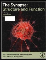 <em>The</em> <em>s</em>ynap<em>s</em>e <em>s</em>tructure and function