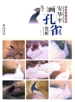唯美技法图典  安华平画孔雀赏析