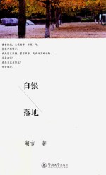 白银<em>落地</em>