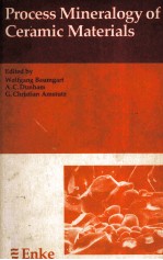 Process Mineralogy of Ceramic <em>Materials</em>