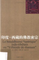 印度  西藏的佛教密宗  新版