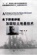 <em>水下</em>挤密砂桩加固软土地基技术