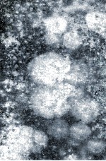 DESIGN <em>OF</em> INDUSTRIAL CHEMICAL REACTORS FROM <em>LABORATORY</em> DATA