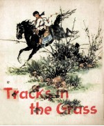 Tracks <em>in</em> the grass
