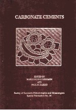 CARBONATE <em>CEMENTS</em>