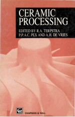 Ceramic <em>Processing</em>