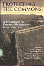 PROTETING <em>THE</em> COMMON<em>S</em>