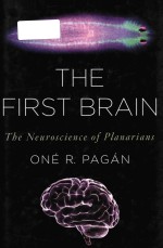 <em>The</em> first <em>brain</em> <em>the</em> neuroscience of planarians
