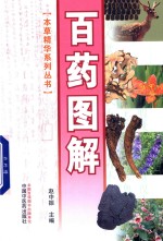百药图解