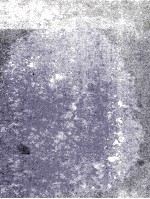 THE <em>STRUCTURE</em> <em>OF</em> GLASS VOLUME 3 CATALYZED CRYSTALLIZATION <em>OF</em> GLASS