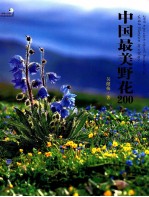 中国最美野花  200