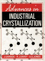 <em>Advances</em> <em>in</em> <em>In</em>dustrial Crystallization