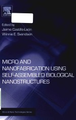 micro and nanofabrication <em>using</em> self-assembled biological nanostructures