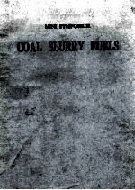 <em>COAL</em> SLURRY FUELS