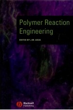 Polymer Reaction <em>Engineering</em>
