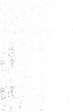 <em>Applied</em> Photochromic Polymer Systems