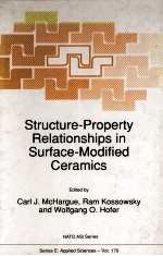 Structure-Property <em>Relationships</em> in Surface-Modified Ceramics
