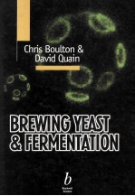 <em>Brewing</em> Yeast and Fermentation