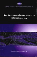 Non-Government<em>a</em>l Org<em>a</em>nis<em>a</em>tions <em>in</em> <em>In</em>tern<em>a</em>tion<em>a</em>l <em>L<em>a</em>w</em>