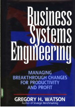 Business <em>Systems</em> Enginering