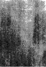 <em>ENCYCLOPEDIA</em> OF POTTERY & PORCELAIN The 19th & 20th Centuries