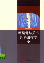 新编骨与关节外科治疗学  上